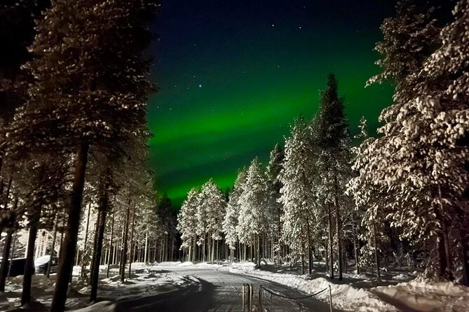 1 Day Pass Lapland Winter Park in Rovaniemi - Reindeer Encounters and Snowy Forest Moments