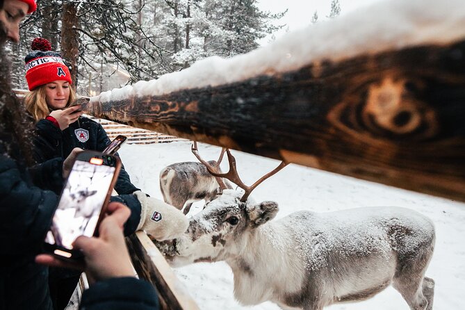1 Day Pass Lapland Winter Park in Rovaniemi - Optional Add-Ons: Sauna World, Snowmobiles, and More