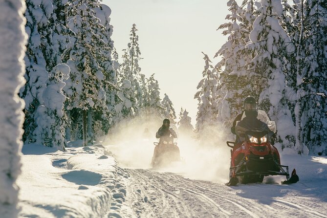 1 Hour Easy Snowmobile Safari in Levi - Price and value: what your $118.95 buys you