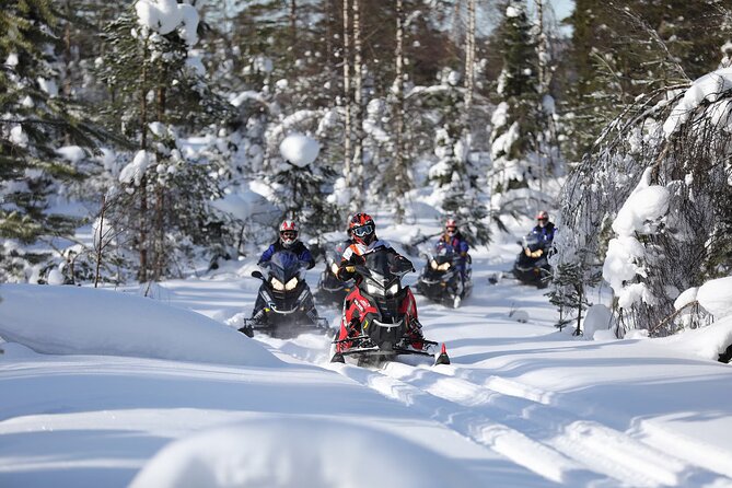1-Hour Snowmobile Safari Adventure in Rovaniemi - Key Things to Know Before You Go