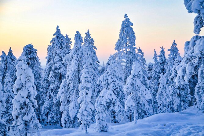 1-Hour Snowmobile Safari Adventure in Rovaniemi - What You Should Watch Out For (Without Killing the Fun)