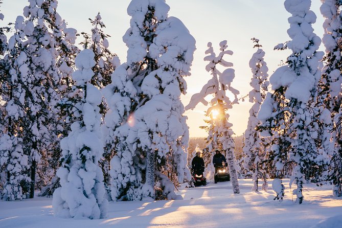 1-Hour Snowmobile Safari Experience - Entering The Arctic Circle Snowmobile Park: Where the Day Starts