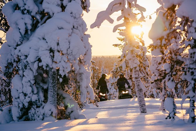1-Hour Snowmobile Safari Experience - License Check and Safety Briefing: The Rules That Shape the Ride