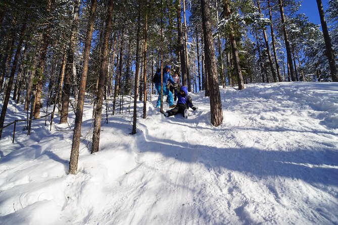 10 km Authentic Husky Safari in the Taiga Forest - Family Kennel - Key highlights
