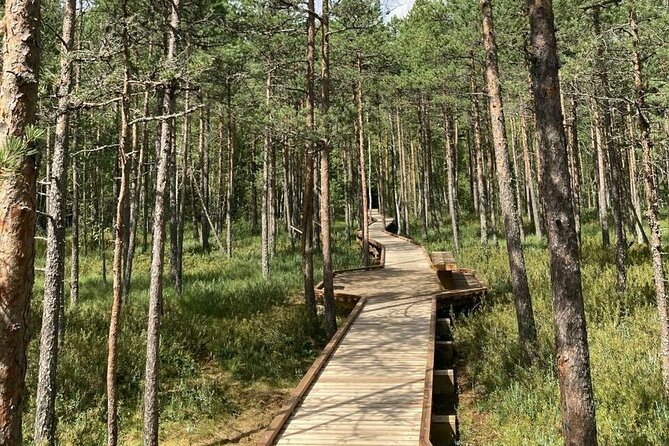 2.5 Hours Hike in Vaattunkikongas Forest Trail - Key things to know before you go