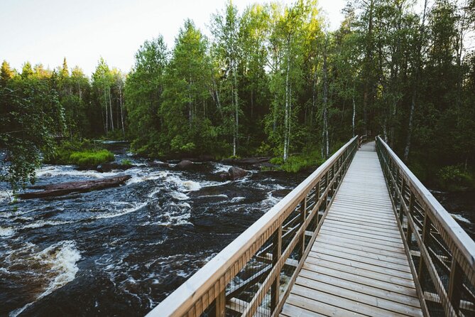 2.5 Hours Hike in Vaattunkikongas Forest Trail - Warm drink break: small stop, big comfort payoff