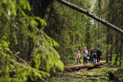 2.5 Hours Hike in Vaattunkikongas Forest Trail