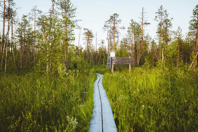 2.5 Hours Hike in Vaattunkikongas Forest Trail - What to pack, based on what you’ll actually need