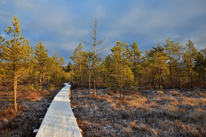 2.5 Hours Hike in Vaattunkikongas Forest Trail - When to book it: matching the season to your mood
