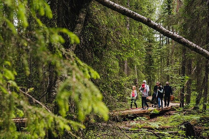 2.5 Hours Hike in Vaattunkikongas Forest Trail - The 2.5-hour trail experience: what you’ll feel on the ground