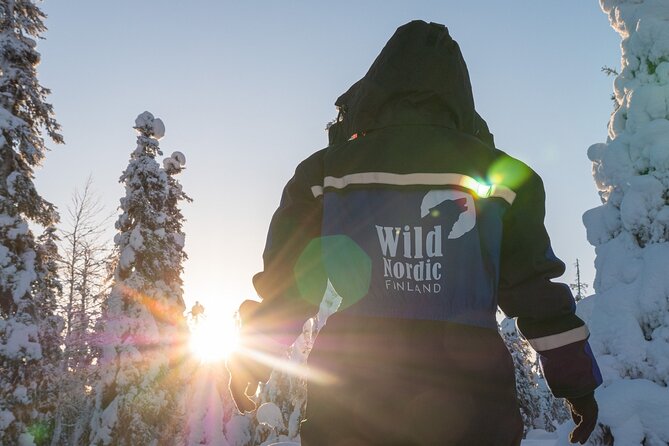 2 Hours Snowmobile Safari to the Levi Nature - When This Tour Feels Like a Perfect Fit