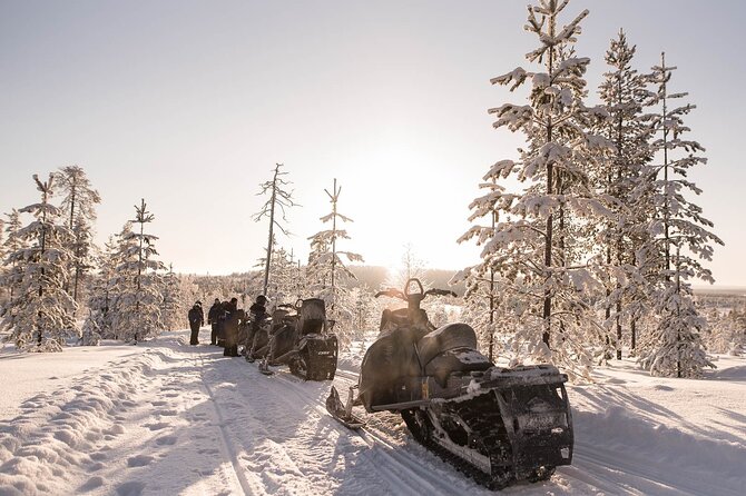 2 Hours Snowmobile Safari to the Levi Nature - What You Actually Do on the Safari (and Why the Route Matters)