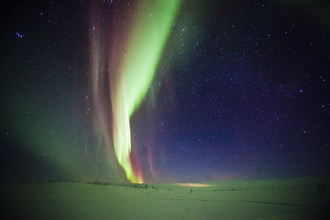 3-h Northern Light Safari by Snowmobiles From Levi - Driving vs. Riding: What to Know Before You Get Seated