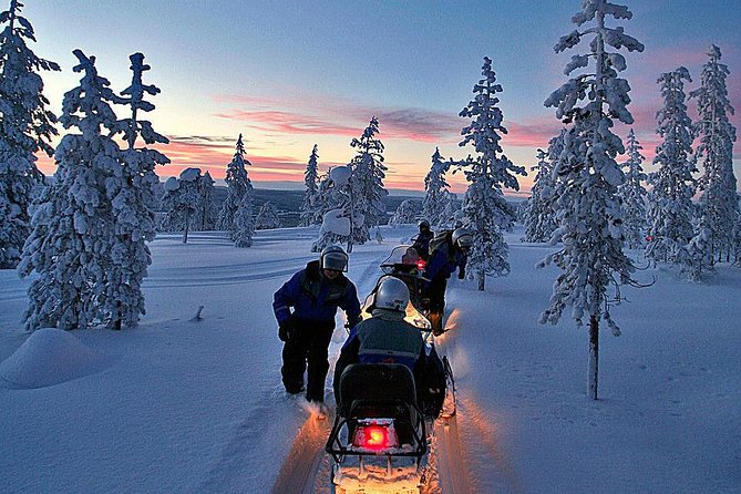 3-h Northern Light Safari by Snowmobiles From Levi - Bonfire Time: Sausages, Hot Tea, and a Break From Winter Concentration
