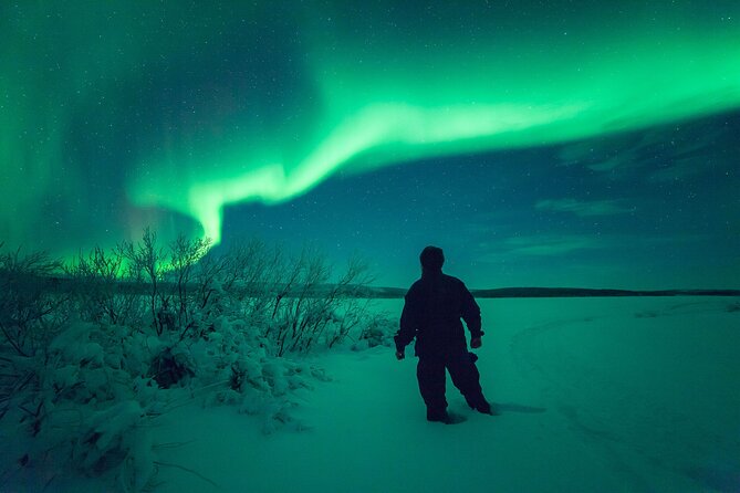 3-h Northern Light Safari by Snowmobiles From Levi - Gear and Comfort: What’s Included and What You Should Still Bring