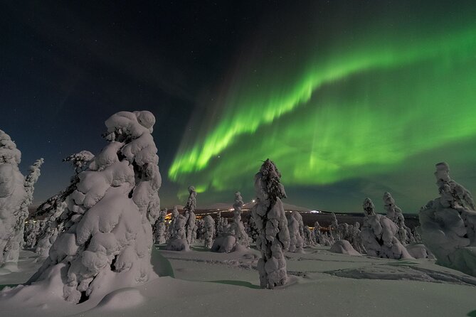 3-h Northern Light Safari by Snowmobiles From Levi - The Snowmobile Safari: Forests, River Views, and Those Necessary Stops