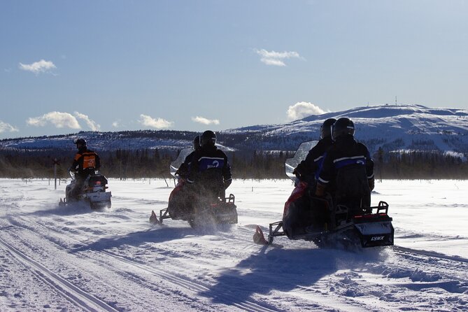 3 Hour Snowmobile Safari Around Levi with Coffee Break - Price and value: does this $206.36 per person make sense?