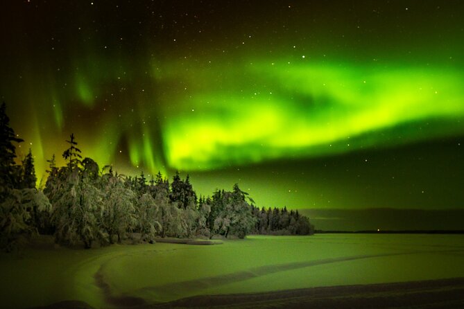 3-Hour Snowmobile Safari to Search Northern Lights in Levi - Price and Logistics: Is It Good Value for Levi?