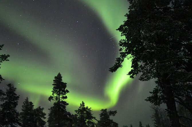 3-Hour Snowmobile Safari to Search Northern Lights in Levi - Who This Snowmobile Safari Is Best For