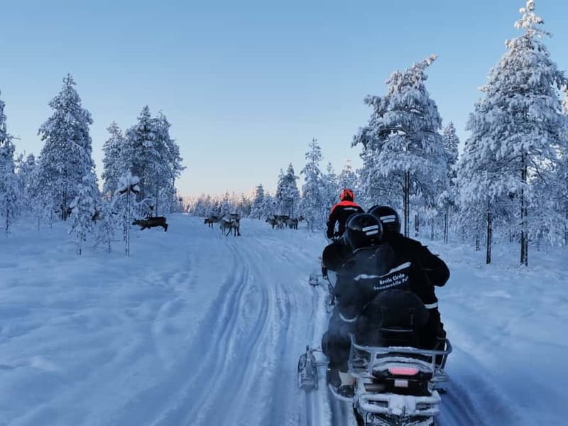 3-Hour Snowmobiling Adventure in Levi - The 3-Hour Safari: Pine Forests, Frozen Lakes, Real Winter Terrain