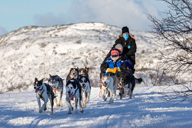 5KM Husky Sled Ride from Levi - What to Wear in Levi So the Cold Does Not Steal the Show