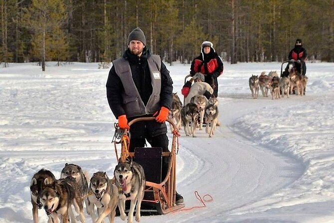 5KM Husky Sled Ride from Levi - Group Size and the Day-to-Day Feel of the Ride