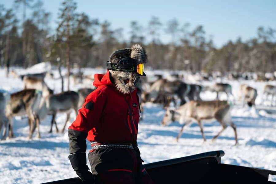A day with reindeer herders in the wilderness - Winter fishing time, and why it belongs on this day