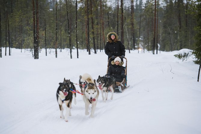 A fun 3-km Husky Safari from Levi Including a Husky Sled Ride - Getting From Levi To Sledding in Sirkka Without Losing Time