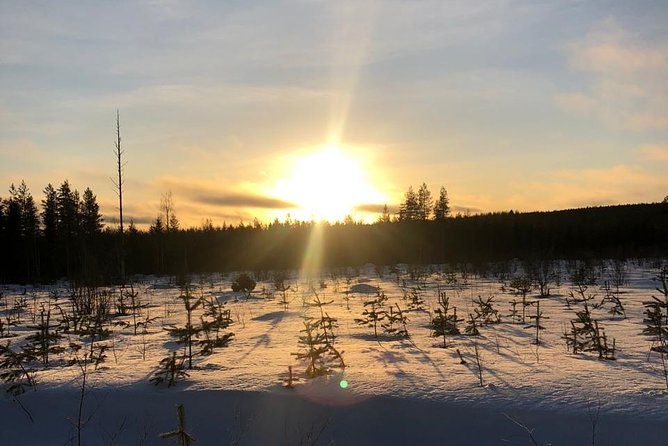 A fun 3-km Husky Safari from Levi Including a Husky Sled Ride - Price in Context: Is $233.78 Worth It?