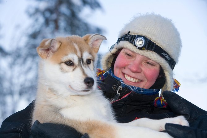 A fun 3-km Husky Safari from Levi Including a Husky Sled Ride - The Husky Farm Welcome: What You Actually Learn Before You Ride
