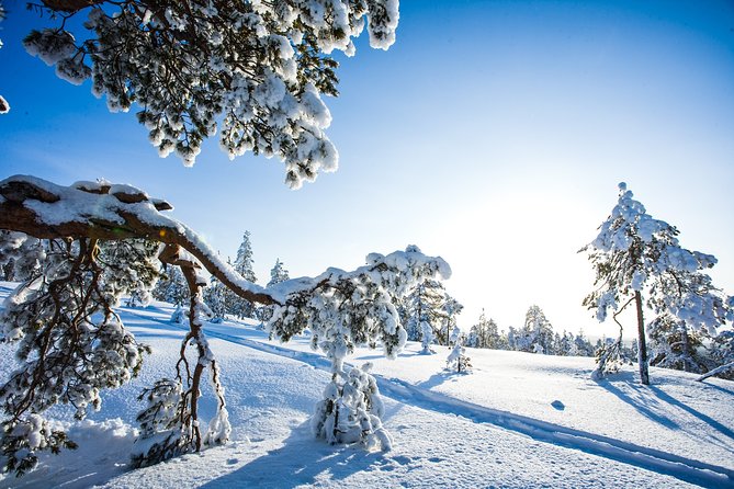 All Day Snowmobile Driving - What Your Snowmobile Route Feels Like in Lapland