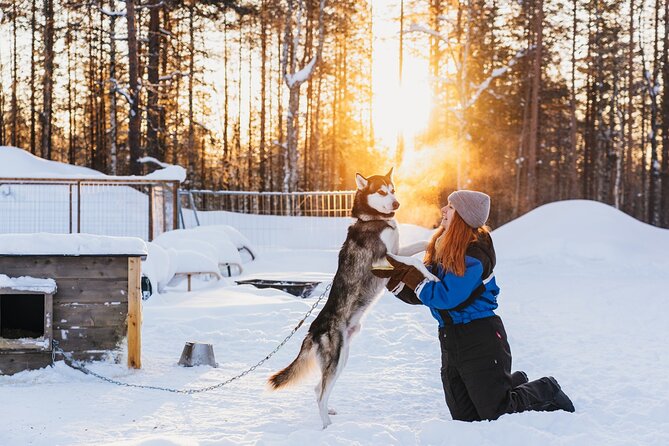 Apukka Husky Adventure in Rovaniemi - Entering the Apukka husky world, in Rovaniemi
