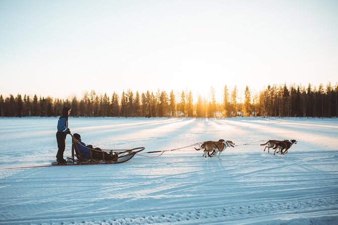 Apukka Husky Adventure in Rovaniemi - The ride itself: scenery, timing, and the “why it can feel different”