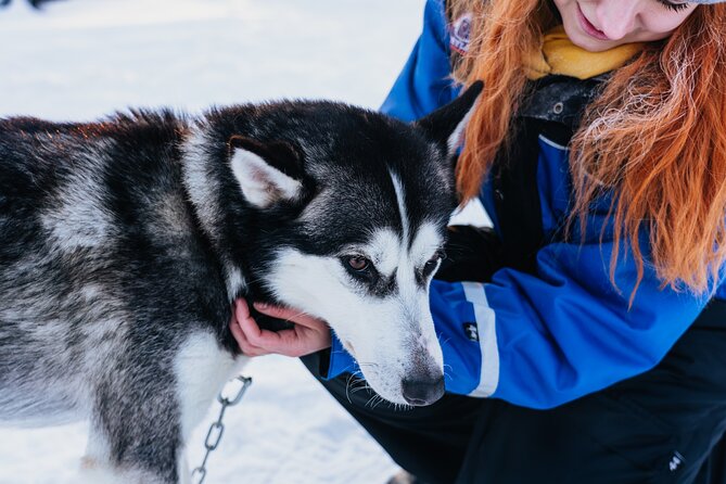 Apukka Husky Adventure in Rovaniemi - Pickup logistics that can save you time and stress