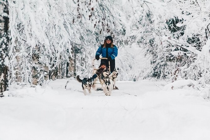Apukka Husky Adventure in Rovaniemi - Gear, warmth, and the hot drink finish you will actually remember