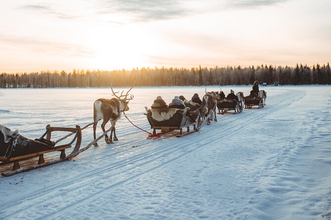 Apukka Reindeer Journey - The 2-Hour Plan: Pickup, Reindeer Time, Sleigh Ride, Back Again