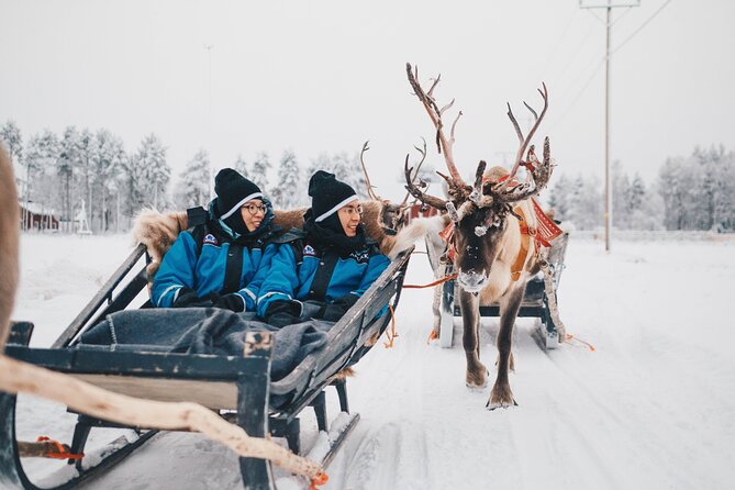 Apukka Reindeer Journey - Price and Value: Is $215.54 Worth It for Two Hours?