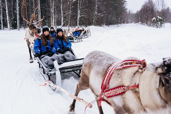 Apukka Reindeer Journey - Who This Tour Fits Best (And Who Might Want Something Different)