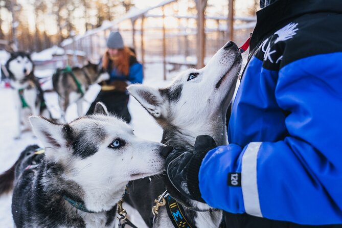 Apukka Snow and Fun, Rovaniemi - Apukka Snow and Fun, why this day feels like a snow sampler