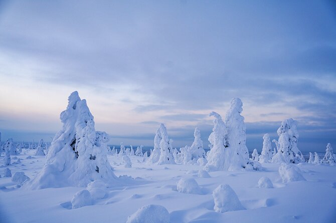 Arctic Adventure through Magical Frozen Forests of Riisitunturi - Key Points Worth Knowing Before You Go
