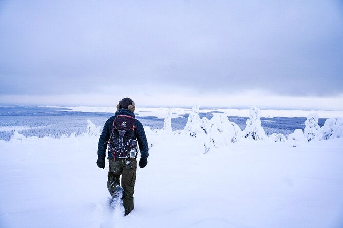 Arctic Adventure through Magical Frozen Forests of Riisitunturi - Why Riisitunturi Feels Like a Frozen Photo Set