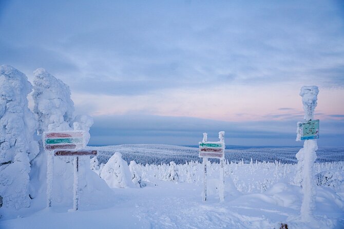 Arctic Adventure through Magical Frozen Forests of Riisitunturi - Lunch Break Energy: Campfire Snack Time and Nature Talk