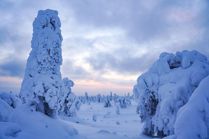 Arctic Adventure through Magical Frozen Forests of Riisitunturi - Gear and Warmth: What’s Included, Plus What to Bring