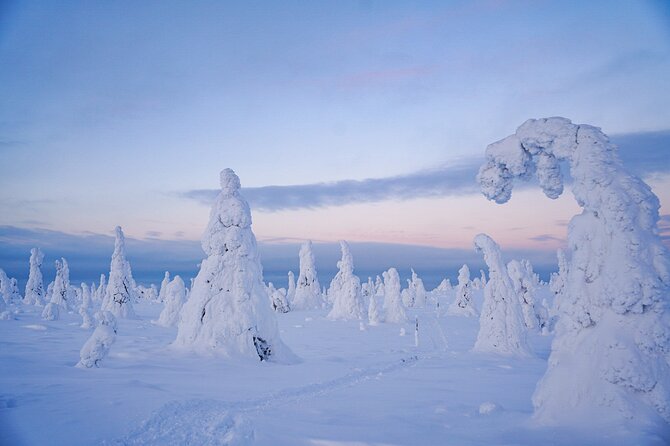 Arctic Adventure through Magical Frozen Forests of Riisitunturi - Guides, Pace, and the Small-Group Advantage