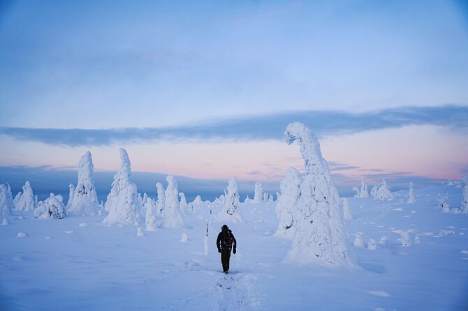 Arctic Adventure through Magical Frozen Forests of Riisitunturi - The Riisitunturi Hike: What 4 Kilometres Feels Like in Winter