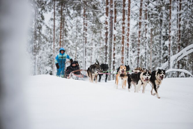 Arctic Circle Highlights Family Day - Lunch in the Middle of Winter: Fuel That Keeps Kids Happy