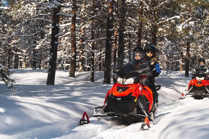 Arctic Circle Snowmobile Safari for Beginners in Rovaniemi - What the Arctic Circle forests look like at slow speed (and why that matters)