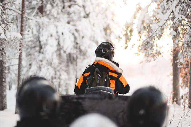 Arctic Circle Snowmobile Safari for Beginners in Rovaniemi - Sled option if you do not have a driver’s license