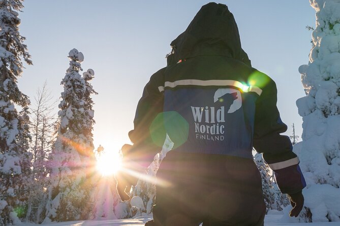Arctic Circle Snowmobile Safari for Beginners in Rovaniemi - Shared snowmobiles, single-driver add-ons, and who should choose what
