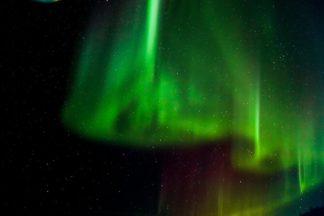 Arctic Darkness & Starlight Adventure with Snowshoes - Key highlights worth your attention